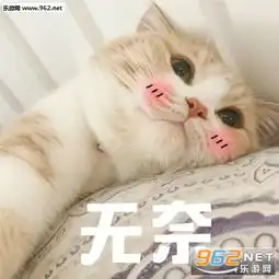  外面太冷了让我进你的被窝表情包好冷啊,我也想进被窝睡觉觉猫咪表情包下载乐游网游戏下载