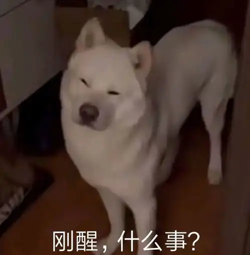  抖音热门表情包我曾经也是别人的宝贝啊