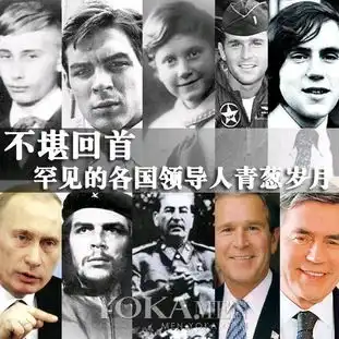  苏维埃表情包3