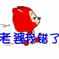  求炫舞自定义图片,生气的阿狸情侣表情,要透明的,比如我生气了对不起我错了这样的谢谢