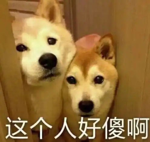 这样养狗,你也可以做到花小钱省大钱