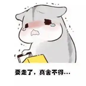  试过不下30瓶粉底,这5瓶才是真的干皮最爱