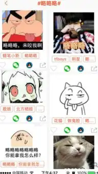  略略略表情包合集