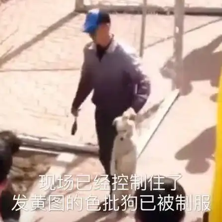  斗图精选表情包在吗出来挨打