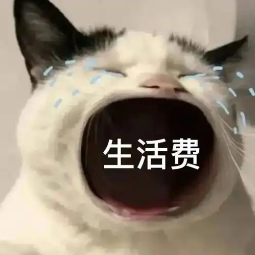 大嘴猫猫表情包无文字