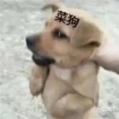  今日份沙雕表情包