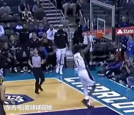  nba令人匪夷所思的乌龙球,乔丹和考辛斯的表情太经典了