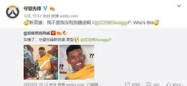  中国玩家实锤守望先锋新英雄借鉴表情包,暴雪我不是我没有