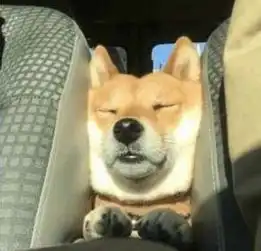  推荐三款器大活好的suv,你想怎么浪都行
