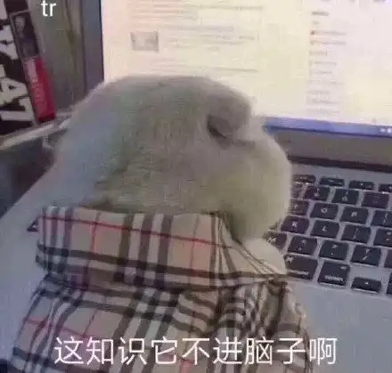 别熬夜表情包晚安