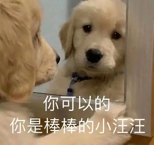  我高度敏感,和别人一起住就睡不好
