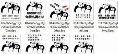 表情包软件下载年初三