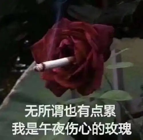 女明星才是吃瓜第一线张雨绮后台八卦小鲜肉被录,压热搜被泄露了