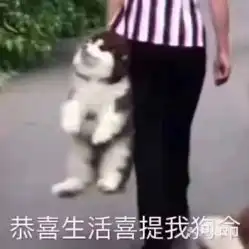 要了狗命了表情包