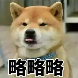  略略略柴犬表情包无水印版