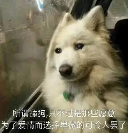 打狗狗表情包舔狗