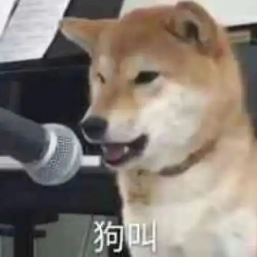 熊猫狗图片表情包备考