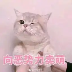 下次跟对象吵架了,就用这组表情包来认错,超有用