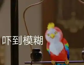  楚乔传蠢萌鹦鹉表情包完整版楚乔传宇文玥鹦鹉表情包大全高清无水印版腾牛下载