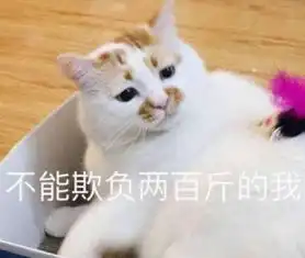  软萌的皮卡丘有多能吸金精灵宝可梦公司5年内收益上涨12倍