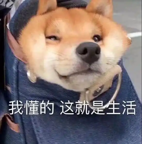  轻松一刻母亲为大一女儿招聘保姆,成年巨婴