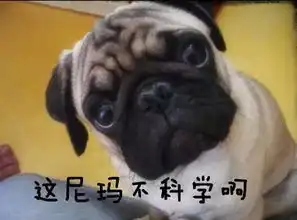 打狗狗表情包生日