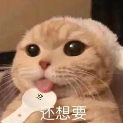  光听名字,就已经狂咽口水500次