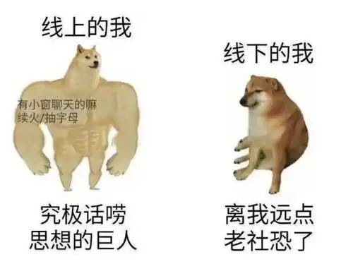 表情包里的神烦狗doge,现在过得怎么样