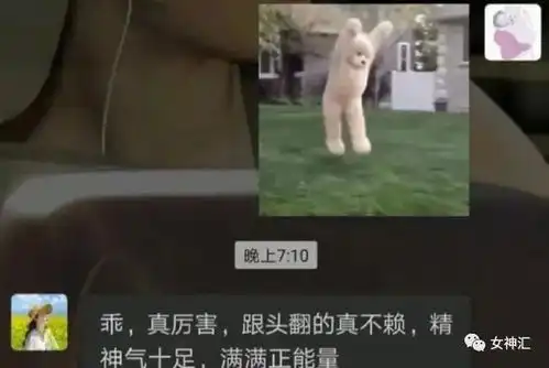  爸妈总是把表情包当作我本人系列爸爸妈妈太可爱了