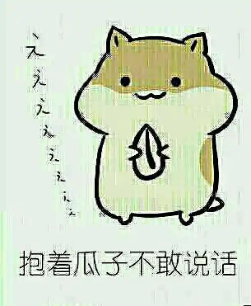  这个可以说吗