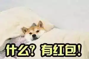  穿越次元最疯最壕的次元节,你尽管去,不嗨算我输
