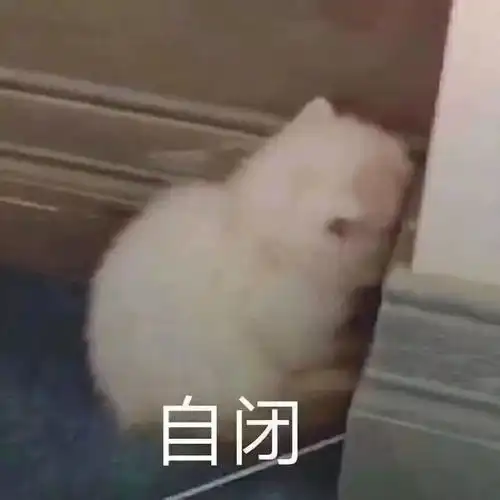  东湖夜读别熬夜了,对手机不好