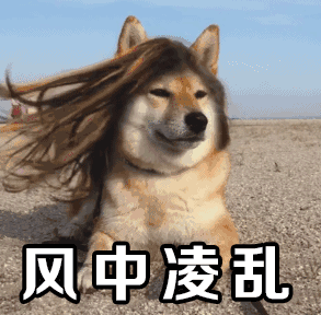  狗,快把我爸还给我