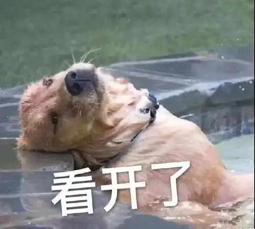  有趣好玩的委屈狗表情包生活不过如此,不说了都在酒里了