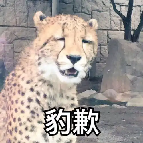 有二刺螈表情包