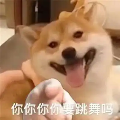  表情包狗狗爆笑的聊天表情合集