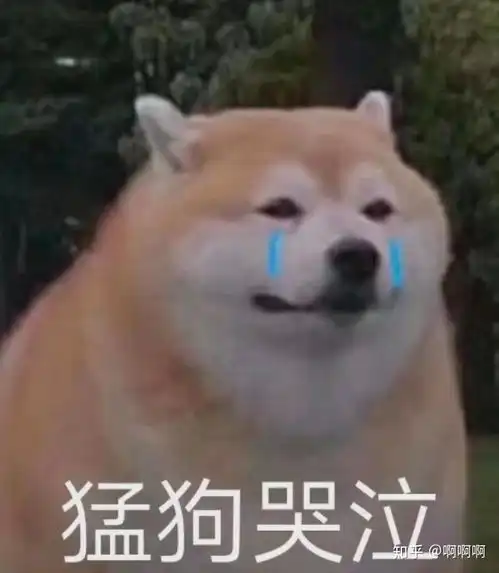  如何评价电影乱世佳人中的斯嘉丽