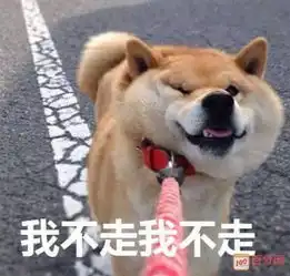  今天开始封路时长4个多月