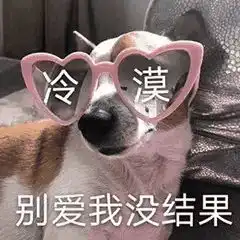  墨镜一戴,属我最乖