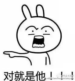  兔子表情对就是他,这表情包叫什么名字