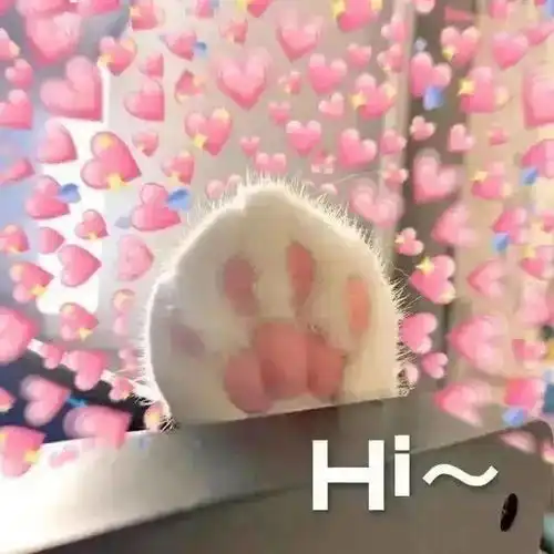  每周猫咪沙雕表情包速存