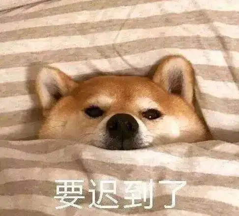 柴犬挨打表情包羡慕嫉妒