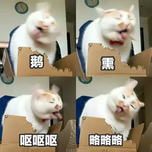  聊天怎么可以没有表情包,献上超级无敌可爱的猫咪表情包