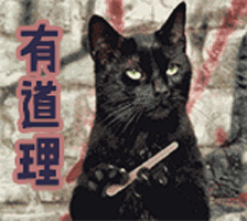 西安一萌宠变恶犬,全因不负责任的狗主人,不拴绳还声称咬到打狂犬疫苗就行