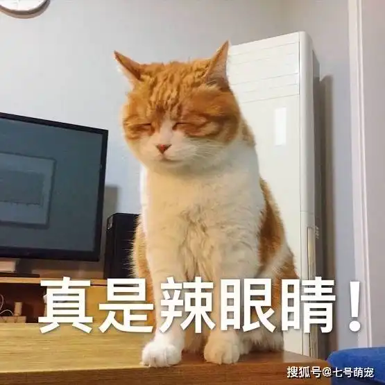  女子忘记关狗笼,担心10多万的红木家具被啃,急忙回家后不忍直视