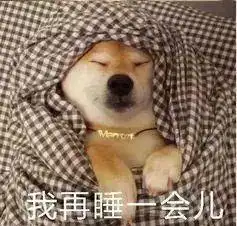  要想狗狗健康成长,这些事情不能少