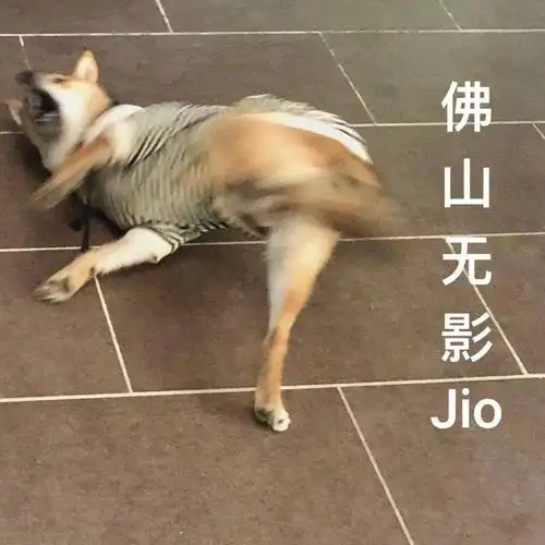  沙雕表情包肾虚吗,这么早睡