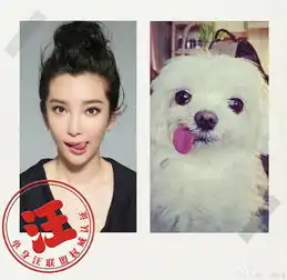  李冰冰晒照自嘲单身汪表情搞怪逗趣惹人爱