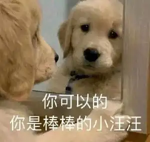  真近况
