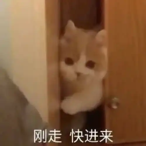 好玩实用的表情包